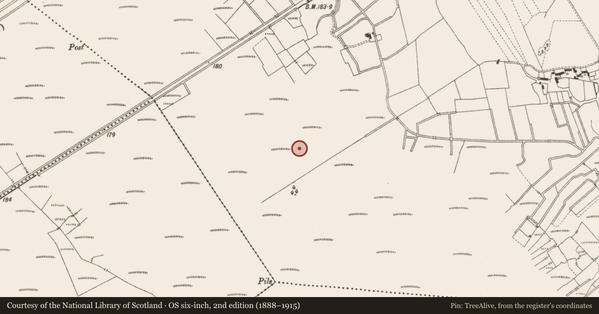 Ordnance Survey six-inch map, 2nd edition (1888–1915) covering the location of Structure - peatland, Lemanaghan, County Offaly, with a pin at the register's coordinates