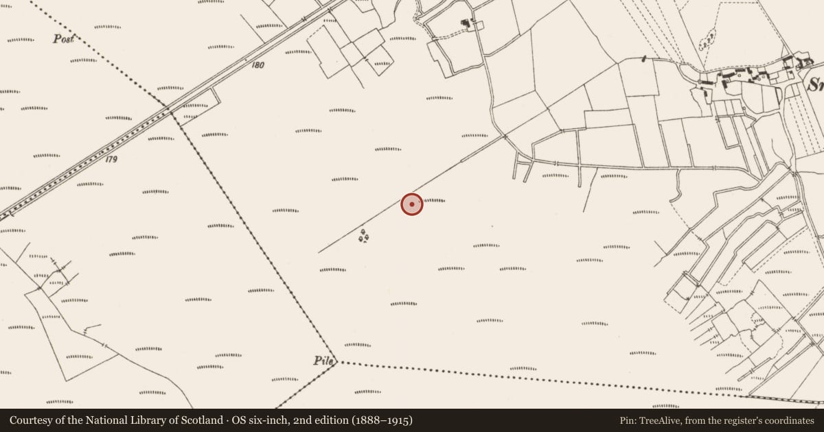 Ordnance Survey six-inch map, 2nd edition (1888–1915) covering the location of Road - class 3 togher, Lemanaghan, County Offaly, with a pin at the register's coordinates