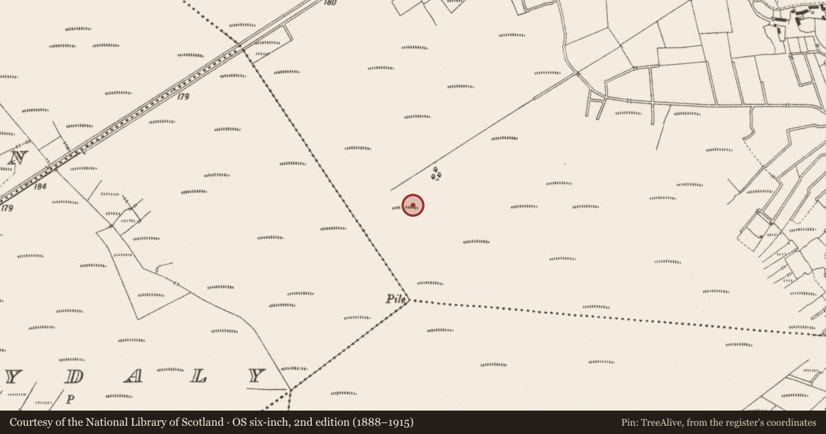 Ordnance Survey six-inch map, 2nd edition (1888–1915) covering the location of Structure - peatland, Lemanaghan, County Offaly, with a pin at the register's coordinates