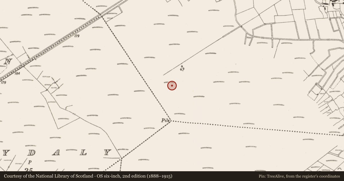 Ordnance Survey six-inch map, 2nd edition (1888–1915) covering the location of Structure - peatland, Lemanaghan, County Offaly, with a pin at the register's coordinates