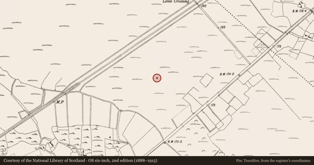 Ordnance Survey six-inch map, 2nd edition (1888–1915) covering the location of Structure - peatland, Lemanaghan, County Offaly, with a pin at the register's coordinates