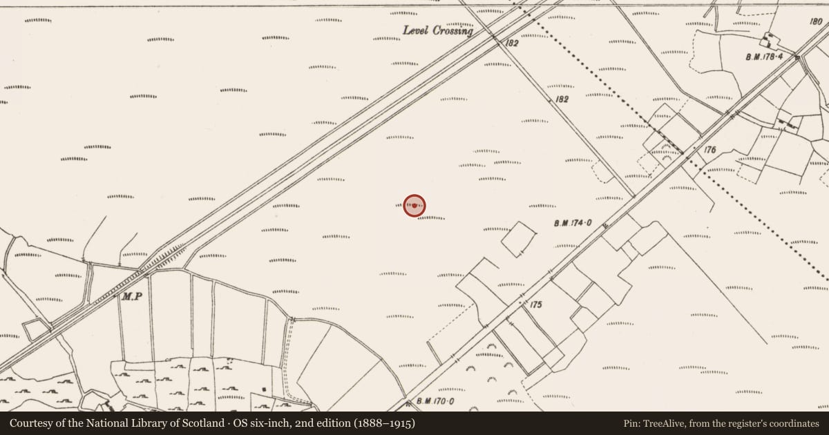 Ordnance Survey six-inch map, 2nd edition (1888–1915) covering the location of Structure - peatland, Lemanaghan, County Offaly, with a pin at the register's coordinates