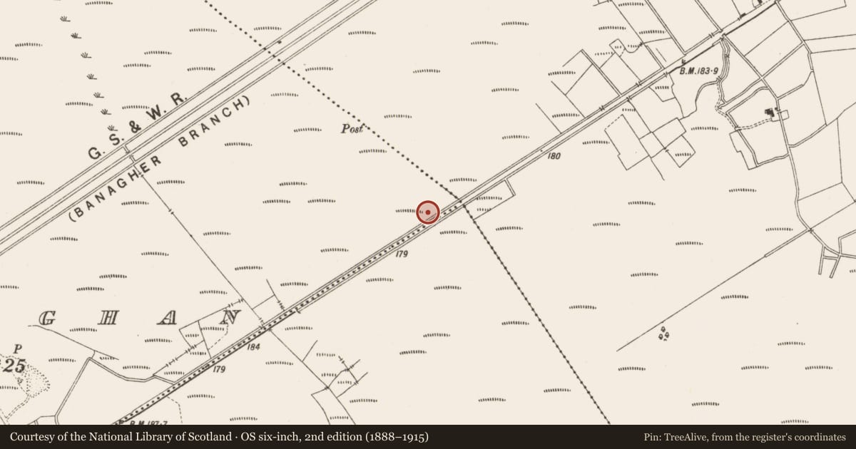 Ordnance Survey six-inch map, 2nd edition (1888–1915) covering the location of Road - class 1 togher, Lemanaghan, Rosfaraghan, County Offaly, with a pin at the register's coordinates