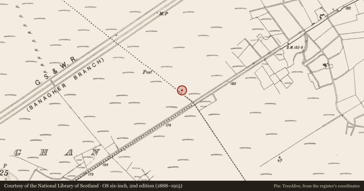 Ordnance Survey six-inch map, 2nd edition (1888–1915) covering the location of Structure - peatland, Lemanaghan, County Offaly, with a pin at the register's coordinates