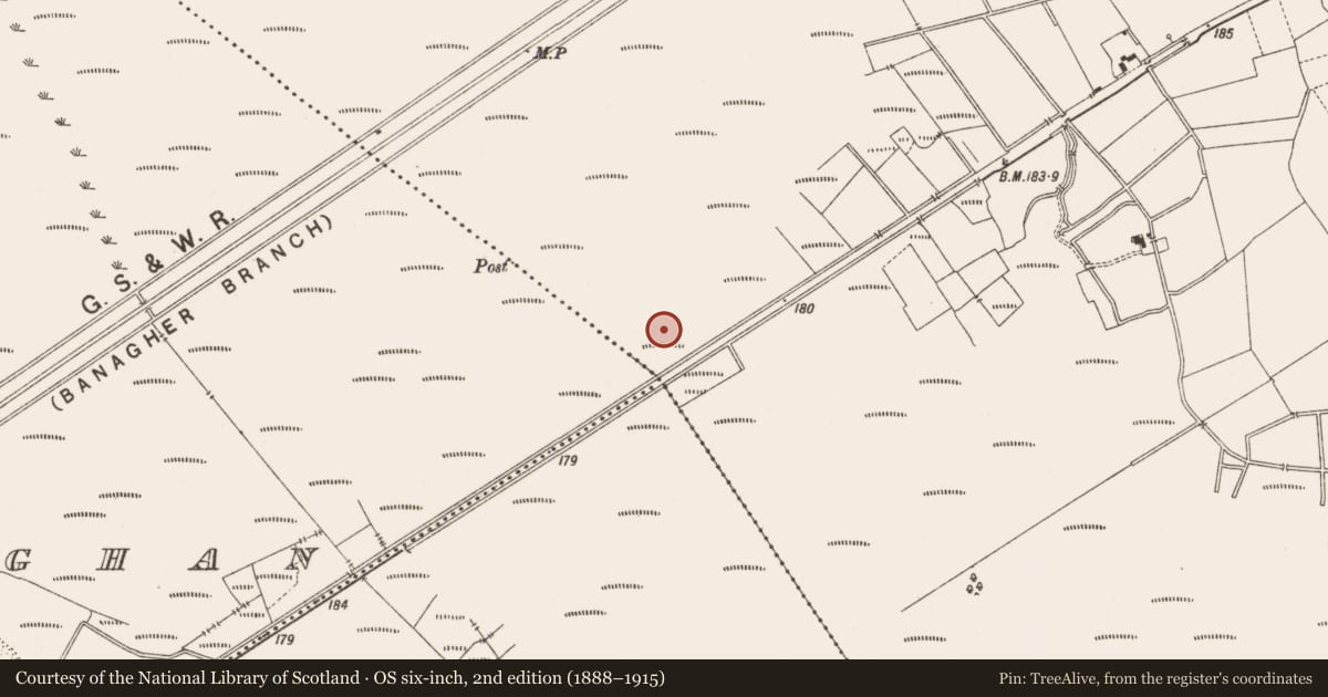 Ordnance Survey six-inch map, 2nd edition (1888–1915) covering the location of Structure - peatland, Lemanaghan, County Offaly, with a pin at the register's coordinates