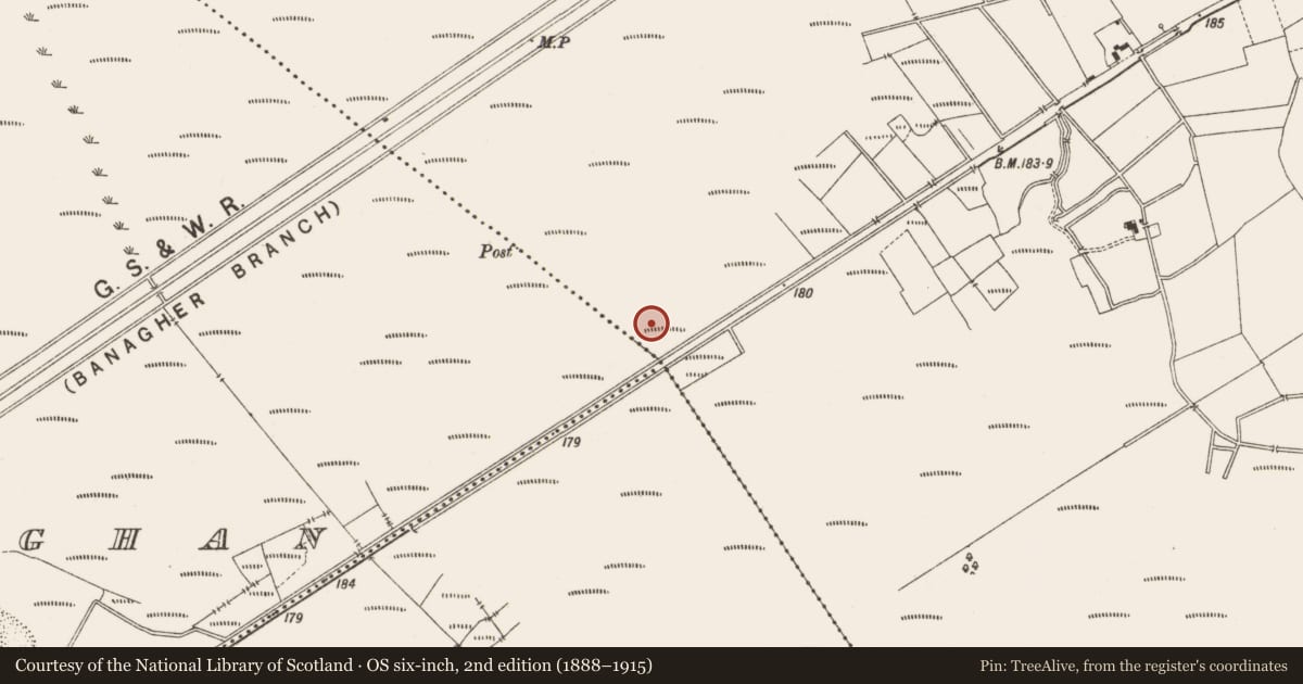 Ordnance Survey six-inch map, 2nd edition (1888–1915) covering the location of Road - class 2 togher, Lemanaghan, County Offaly, with a pin at the register's coordinates
