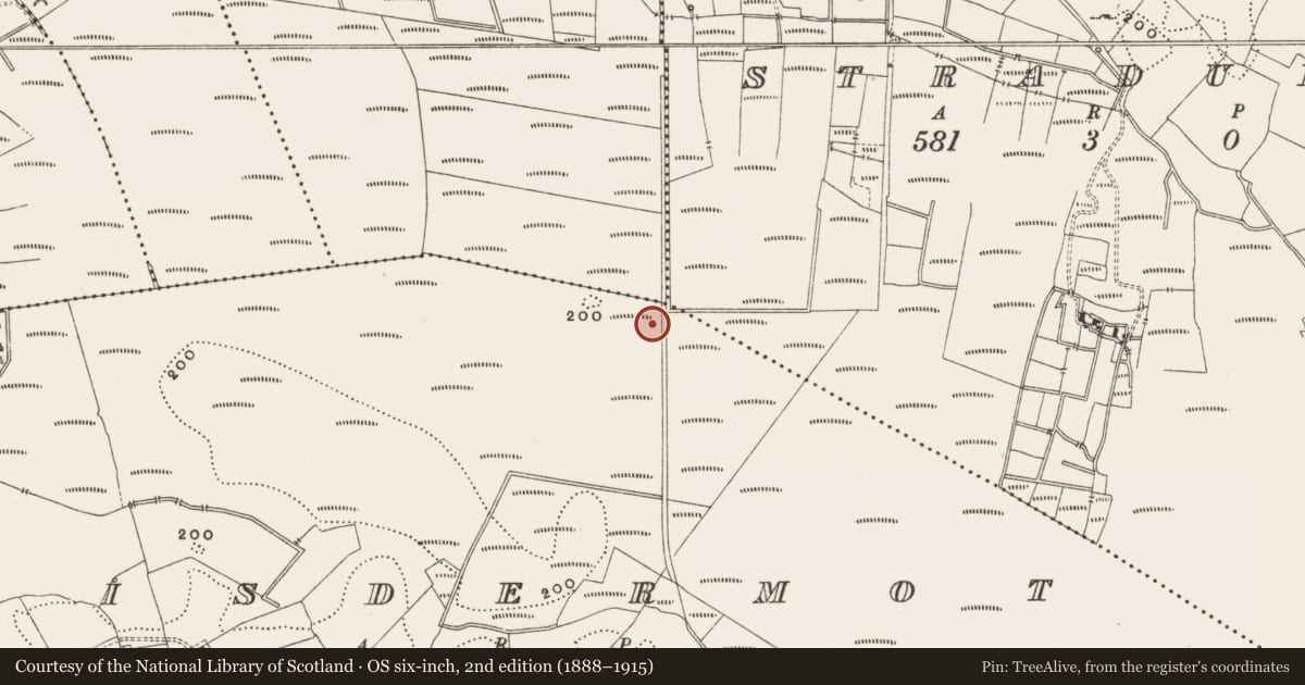 Ordnance Survey six-inch map, 2nd edition (1888–1915) covering the location of Structure - peatland, Lisdermot, County Offaly, with a pin at the register's coordinates