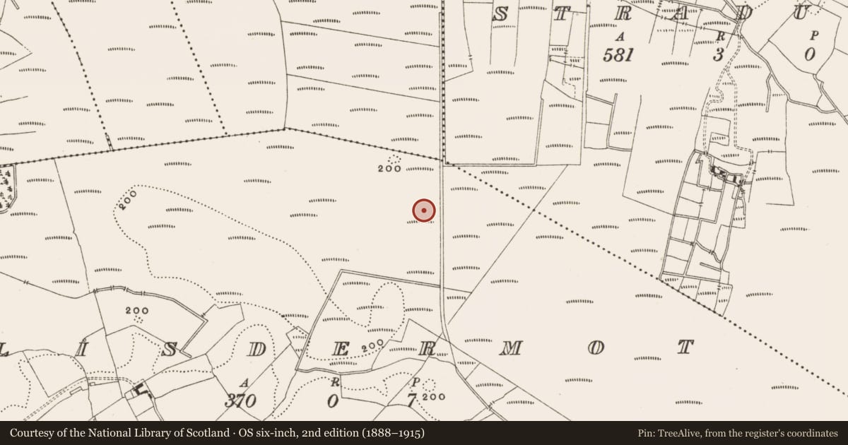 Ordnance Survey six-inch map, 2nd edition (1888–1915) covering the location of Structure - peatland, Lisdermot, County Offaly, with a pin at the register's coordinates