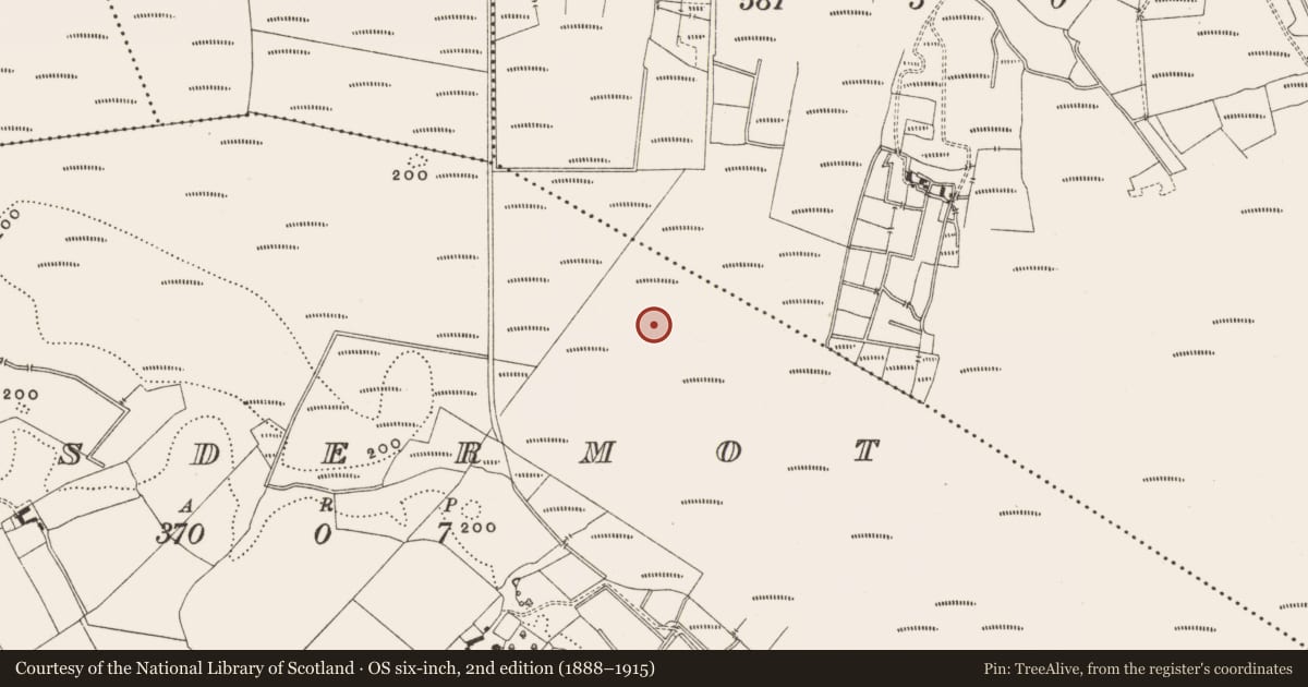 Ordnance Survey six-inch map, 2nd edition (1888–1915) covering the location of Road - class 2 togher, Lisdermot, County Offaly, with a pin at the register's coordinates