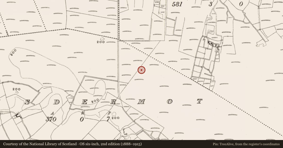 Ordnance Survey six-inch map, 2nd edition (1888–1915) covering the location of Structure - peatland, Lisdermot, County Offaly, with a pin at the register's coordinates