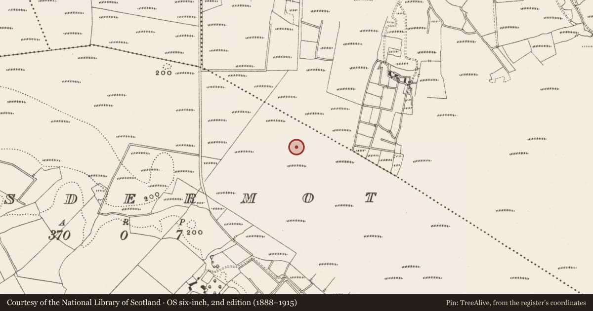 Ordnance Survey six-inch map, 2nd edition (1888–1915) covering the location of Structure - peatland, Lisdermot, County Offaly, with a pin at the register's coordinates
