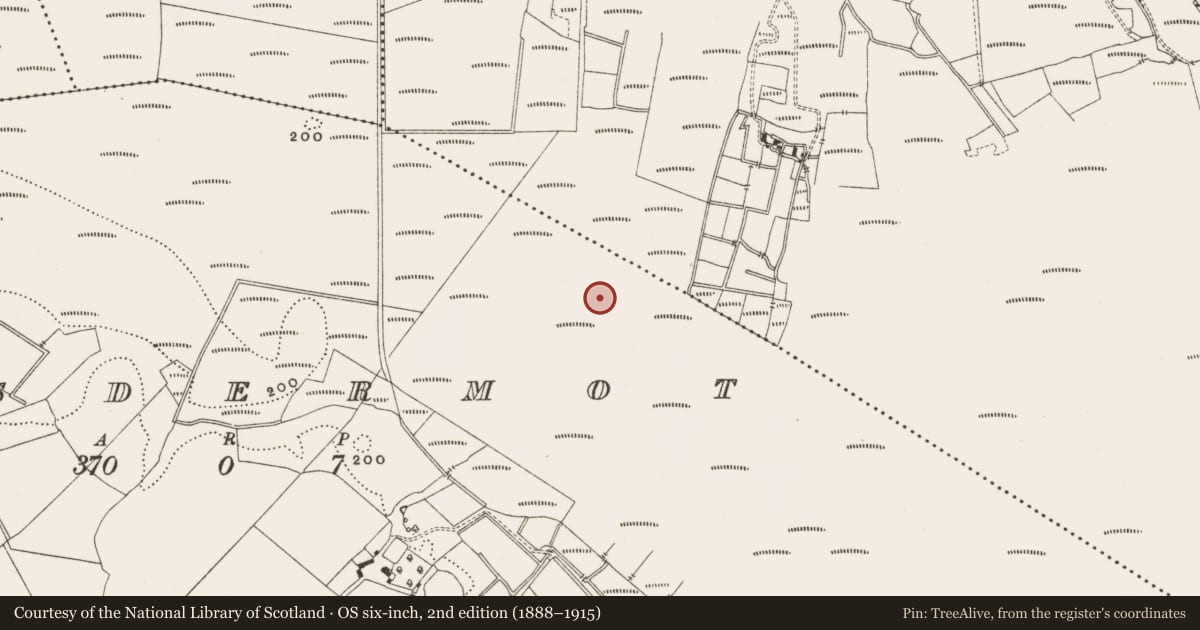 Ordnance Survey six-inch map, 2nd edition (1888–1915) covering the location of Structure - peatland, Lisdermot, County Offaly, with a pin at the register's coordinates