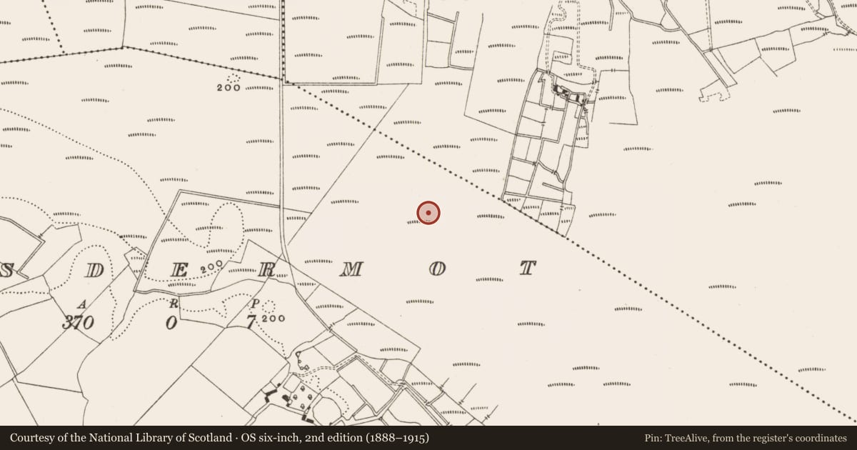 Ordnance Survey six-inch map, 2nd edition (1888–1915) covering the location of Structure - peatland, Lisdermot, County Offaly, with a pin at the register's coordinates