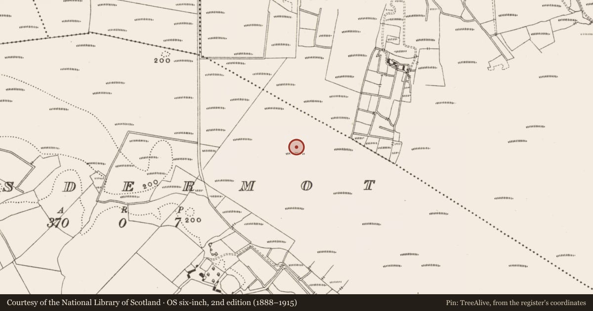 Ordnance Survey six-inch map, 2nd edition (1888–1915) covering the location of Structure - peatland, Lisdermot, County Offaly, with a pin at the register's coordinates