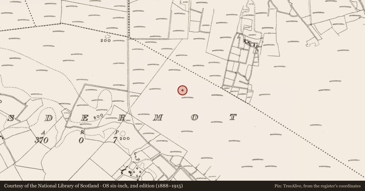 Ordnance Survey six-inch map, 2nd edition (1888–1915) covering the location of Road - class 2 togher, Lisdermot, County Offaly, with a pin at the register's coordinates