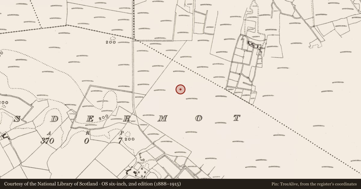 Ordnance Survey six-inch map, 2nd edition (1888–1915) covering the location of Structure - peatland, Lisdermot, County Offaly, with a pin at the register's coordinates