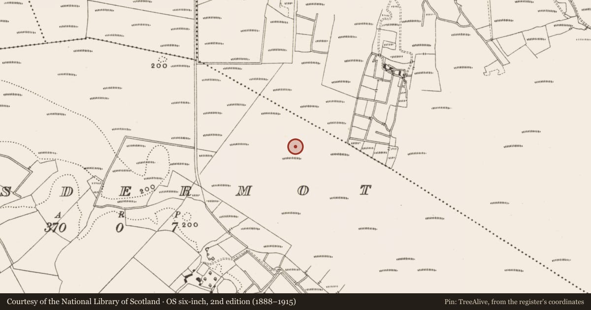 Ordnance Survey six-inch map, 2nd edition (1888–1915) covering the location of Road - class 2 togher, Lisdermot, County Offaly, with a pin at the register's coordinates