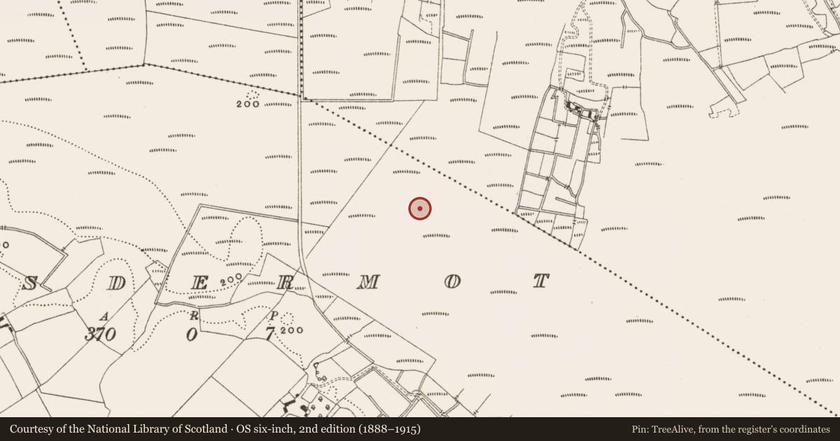 Ordnance Survey six-inch map, 2nd edition (1888–1915) covering the location of Road - class 2 togher, Lisdermot, County Offaly, with a pin at the register's coordinates