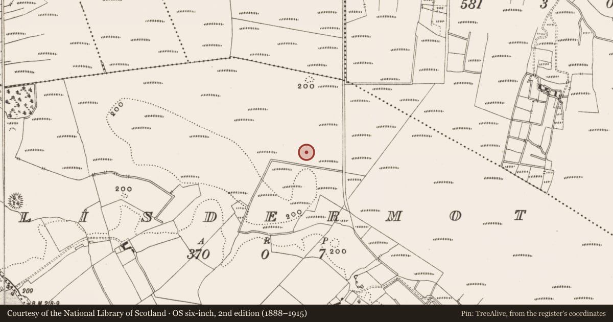 Ordnance Survey six-inch map, 2nd edition (1888–1915) covering the location of Structure - peatland, Lisdermot, County Offaly, with a pin at the register's coordinates