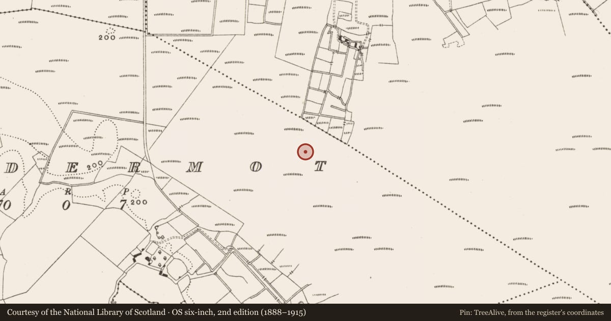 Ordnance Survey six-inch map, 2nd edition (1888–1915) covering the location of Structure - peatland, Lisdermot, County Offaly, with a pin at the register's coordinates
