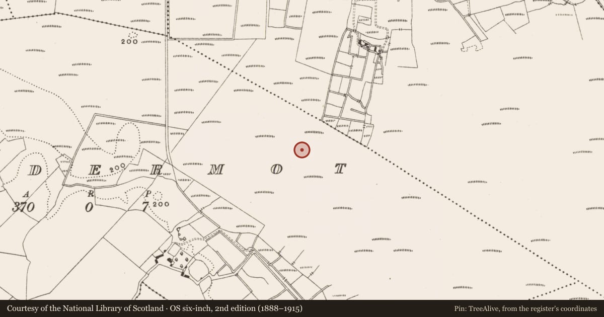 Ordnance Survey six-inch map, 2nd edition (1888–1915) covering the location of Structure - peatland, Lisdermot, County Offaly, with a pin at the register's coordinates