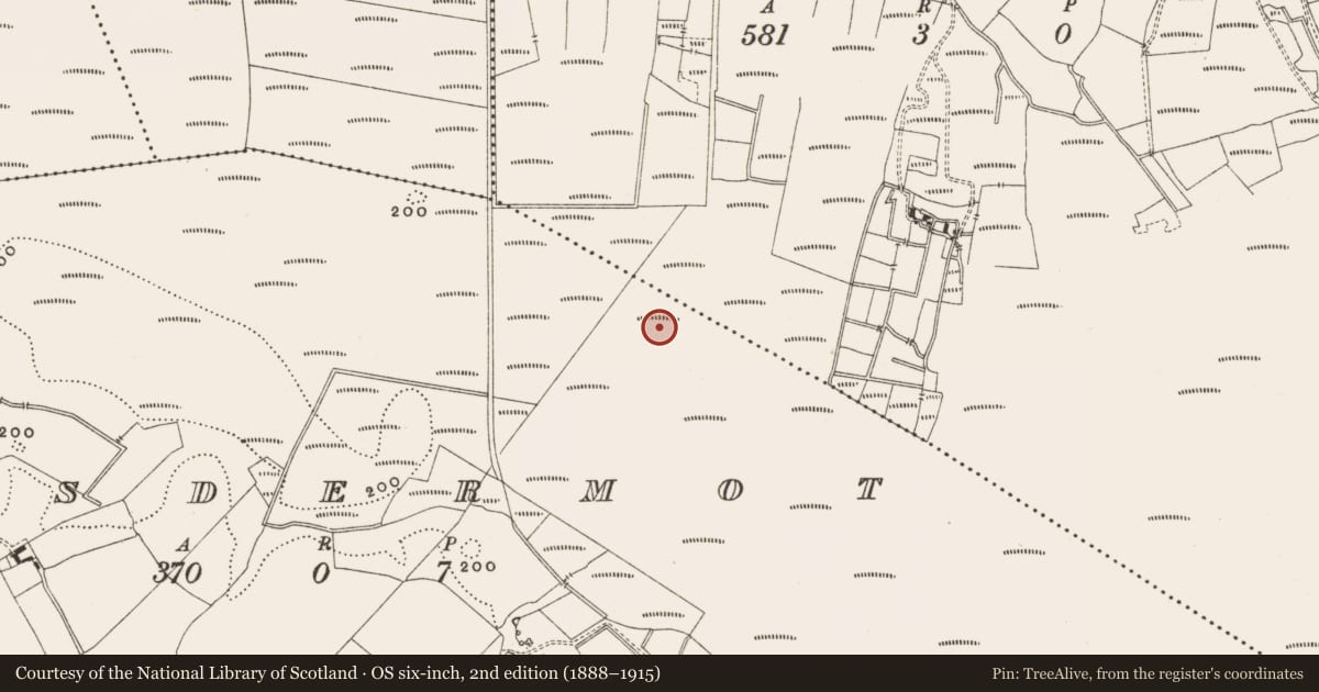 Ordnance Survey six-inch map, 2nd edition (1888–1915) covering the location of Road - class 2 togher, Lisdermot, County Offaly, with a pin at the register's coordinates