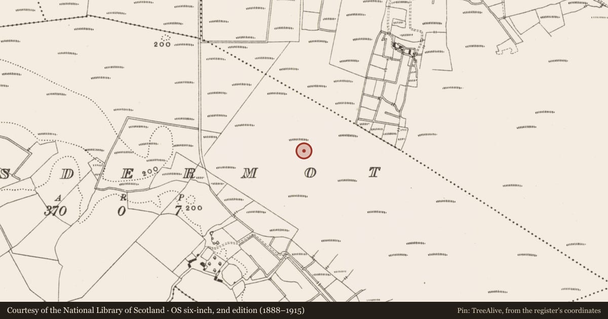 Ordnance Survey six-inch map, 2nd edition (1888–1915) covering the location of Structure - peatland, Lisdermot, County Offaly, with a pin at the register's coordinates