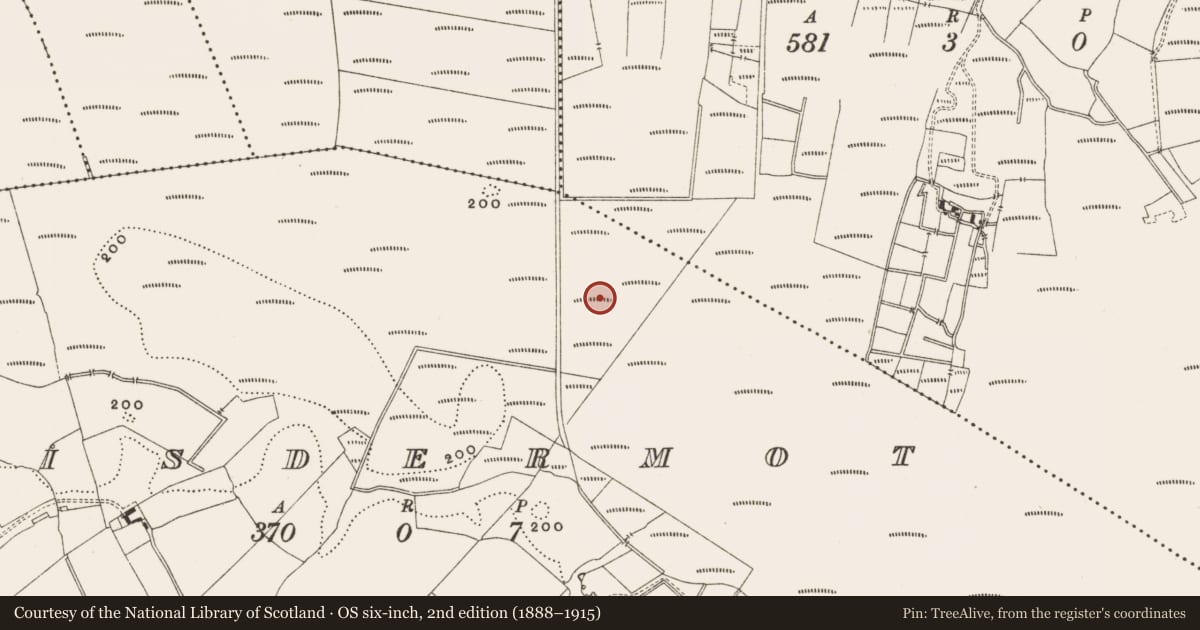 Ordnance Survey six-inch map, 2nd edition (1888–1915) covering the location of Structure - peatland, Lisdermot, County Offaly, with a pin at the register's coordinates