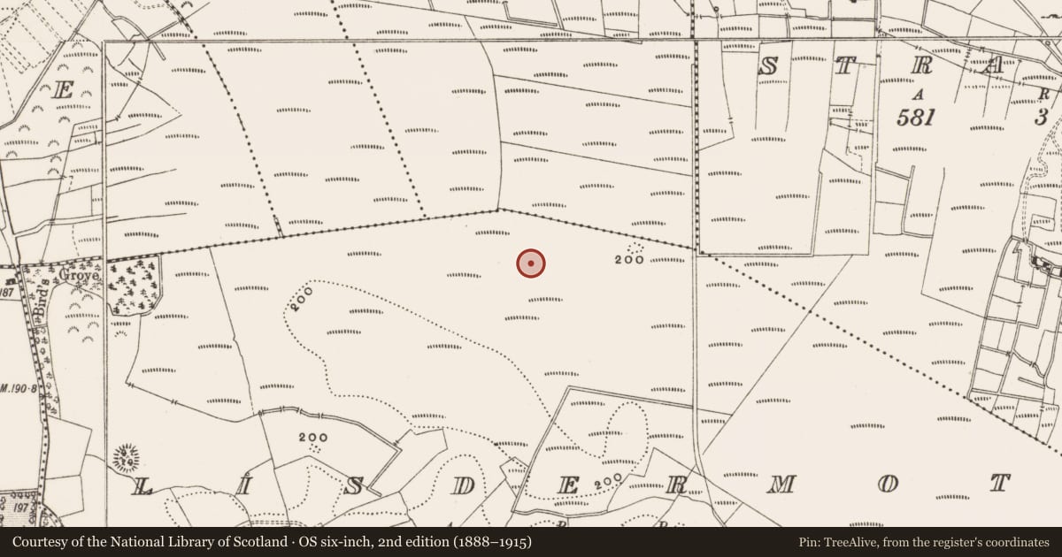 Ordnance Survey six-inch map, 2nd edition (1888–1915) covering the location of Structure - peatland, Lisdermot, County Offaly, with a pin at the register's coordinates