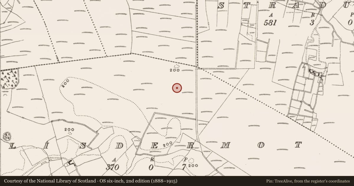 Ordnance Survey six-inch map, 2nd edition (1888–1915) covering the location of Structure - peatland, Lisdermot, County Offaly, with a pin at the register's coordinates