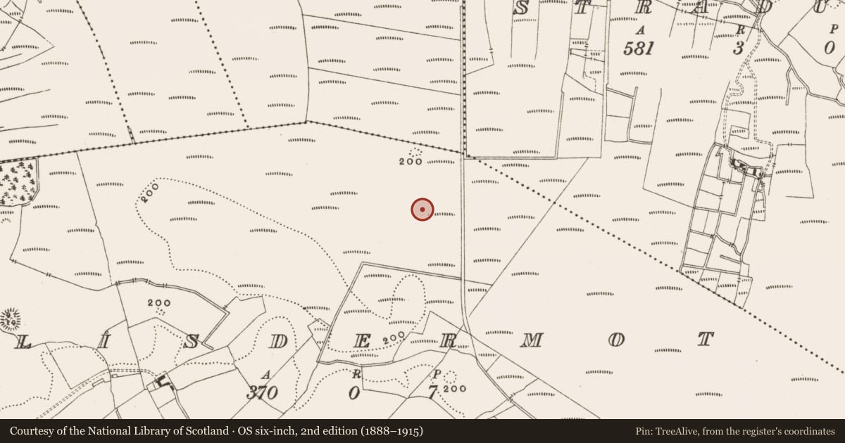 Ordnance Survey six-inch map, 2nd edition (1888–1915) covering the location of Road - class 3 togher, Lisdermot, County Offaly, with a pin at the register's coordinates