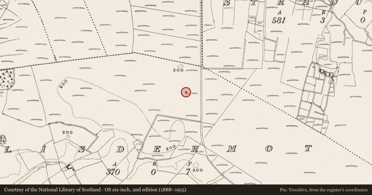 Ordnance Survey six-inch map, 2nd edition (1888–1915) covering the location of Structure - peatland, Lisdermot, County Offaly, with a pin at the register's coordinates