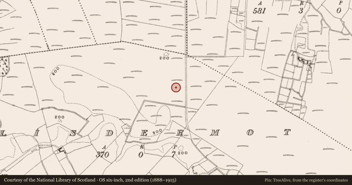 Ordnance Survey six-inch map, 2nd edition (1888–1915) covering the location of Road - class 2 togher, Lisdermot, County Offaly, with a pin at the register's coordinates