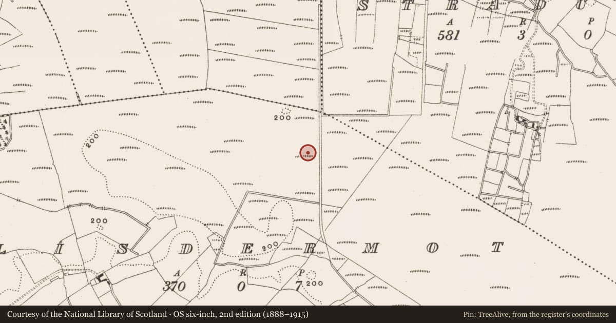 Ordnance Survey six-inch map, 2nd edition (1888–1915) covering the location of Structure - peatland, Lisdermot, County Offaly, with a pin at the register's coordinates