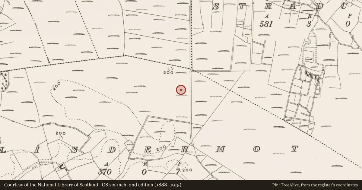 Ordnance Survey six-inch map, 2nd edition (1888–1915) covering the location of Structure - peatland, Lisdermot, County Offaly, with a pin at the register's coordinates