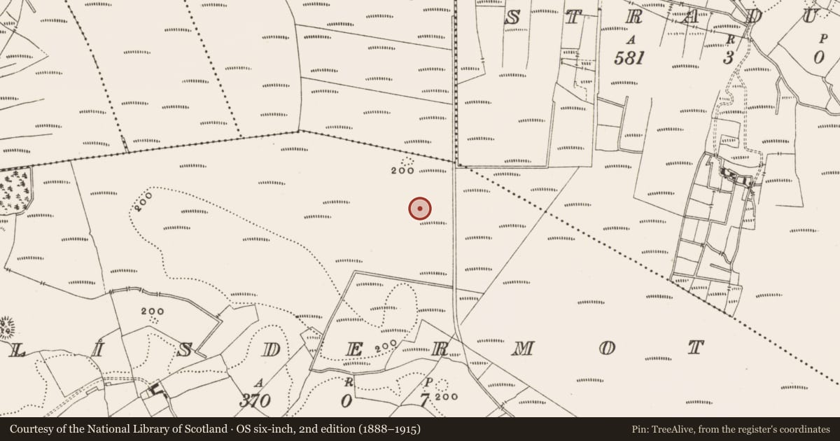 Ordnance Survey six-inch map, 2nd edition (1888–1915) covering the location of Structure - peatland, Lisdermot, County Offaly, with a pin at the register's coordinates
