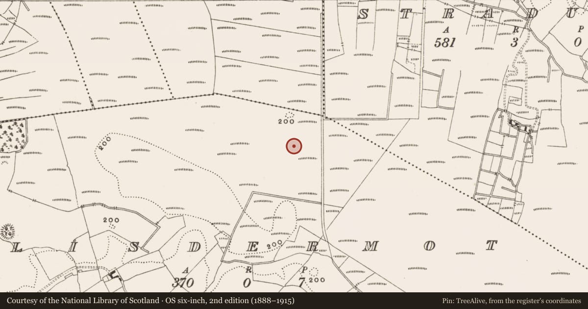 Ordnance Survey six-inch map, 2nd edition (1888–1915) covering the location of Structure - peatland, Lisdermot, County Offaly, with a pin at the register's coordinates