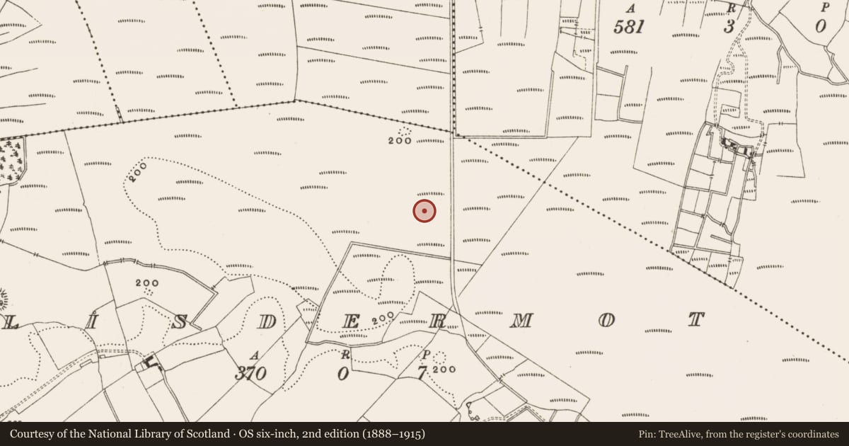 Ordnance Survey six-inch map, 2nd edition (1888–1915) covering the location of Road - class 3 togher, Lisdermot, County Offaly, with a pin at the register's coordinates