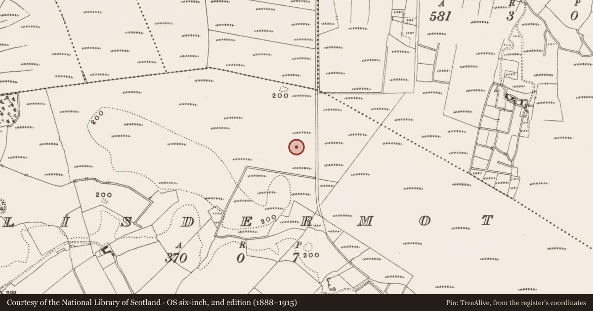 Ordnance Survey six-inch map, 2nd edition (1888–1915) covering the location of Structure - peatland, Lisdermot, County Offaly, with a pin at the register's coordinates