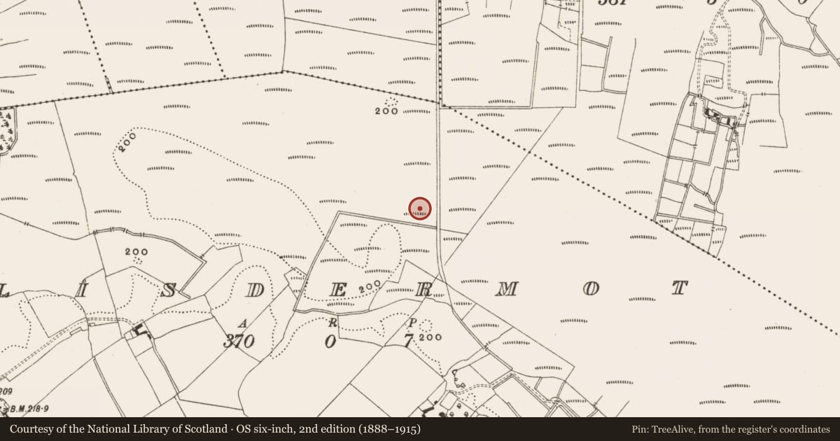 Ordnance Survey six-inch map, 2nd edition (1888–1915) covering the location of Road - class 2 togher, Lisdermot, County Offaly, with a pin at the register's coordinates