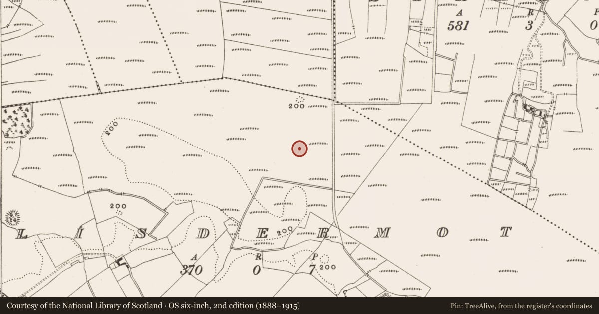 Ordnance Survey six-inch map, 2nd edition (1888–1915) covering the location of Structure - peatland, Lisdermot, County Offaly, with a pin at the register's coordinates