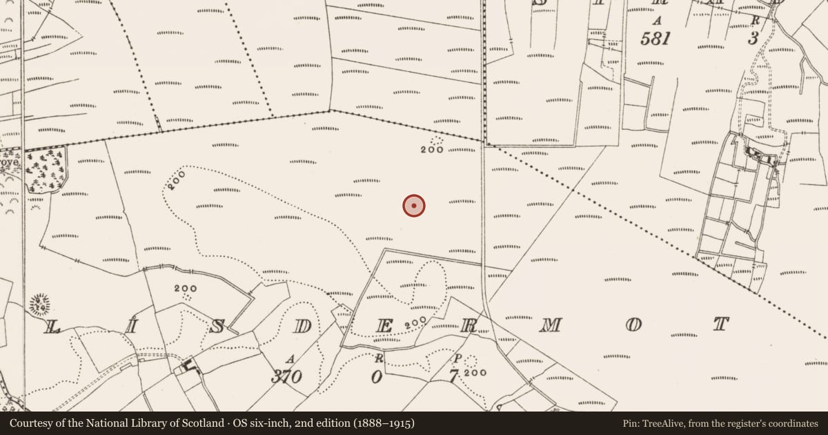 Ordnance Survey six-inch map, 2nd edition (1888–1915) covering the location of Structure - peatland, Lisdermot, County Offaly, with a pin at the register's coordinates