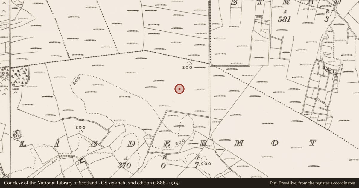 Ordnance Survey six-inch map, 2nd edition (1888–1915) covering the location of Structure - peatland, Lisdermot, County Offaly, with a pin at the register's coordinates