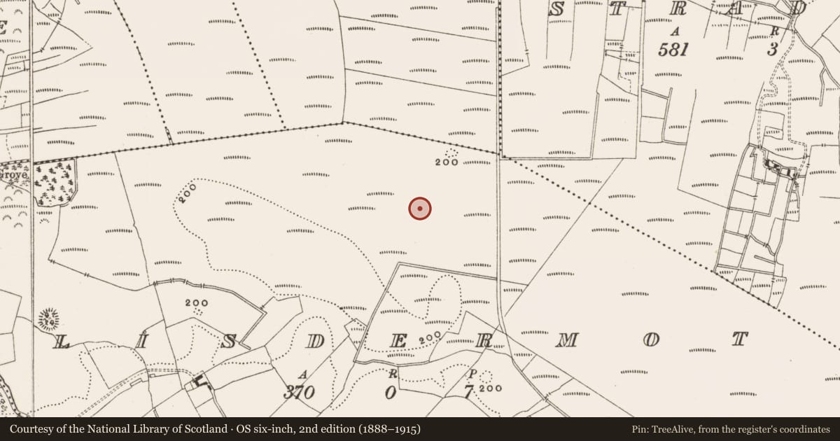 Ordnance Survey six-inch map, 2nd edition (1888–1915) covering the location of Structure - peatland, Lisdermot, County Offaly, with a pin at the register's coordinates