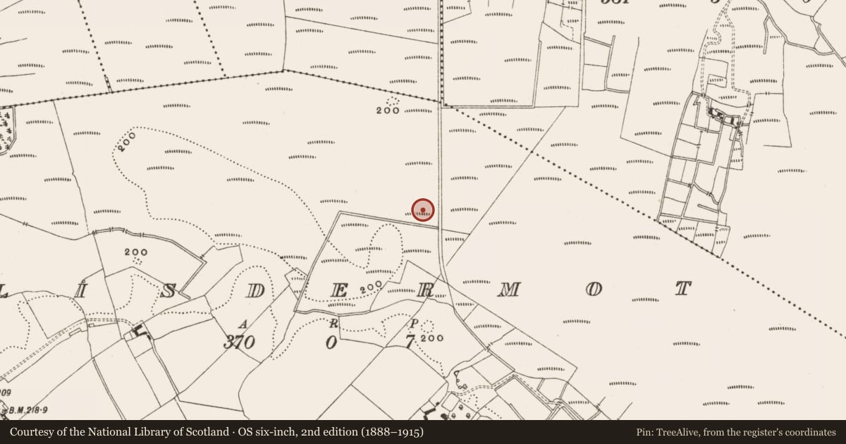 Ordnance Survey six-inch map, 2nd edition (1888–1915) covering the location of Road - class 3 togher, Lisdermot, County Offaly, with a pin at the register's coordinates