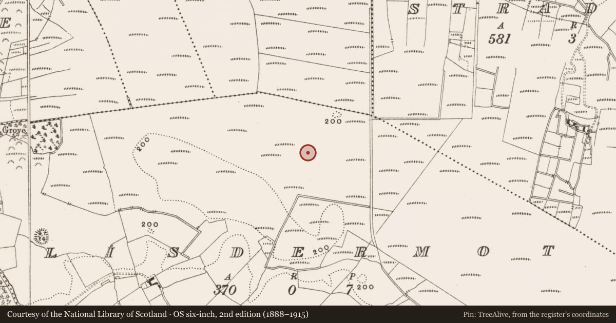 Ordnance Survey six-inch map, 2nd edition (1888–1915) covering the location of Structure - peatland, Lisdermot, County Offaly, with a pin at the register's coordinates