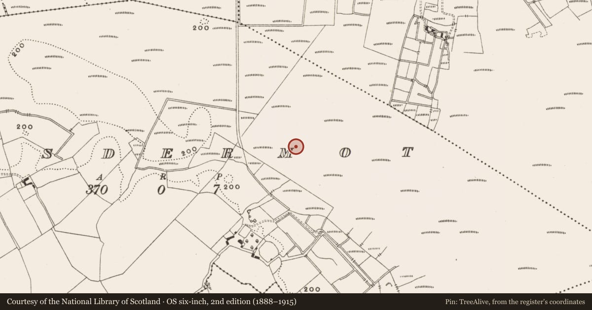 Ordnance Survey six-inch map, 2nd edition (1888–1915) covering the location of Structure - peatland, Lisdermot, County Offaly, with a pin at the register's coordinates