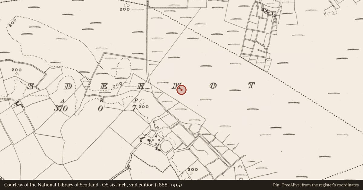 Ordnance Survey six-inch map, 2nd edition (1888–1915) covering the location of Structure - peatland, Lisdermot, County Offaly, with a pin at the register's coordinates