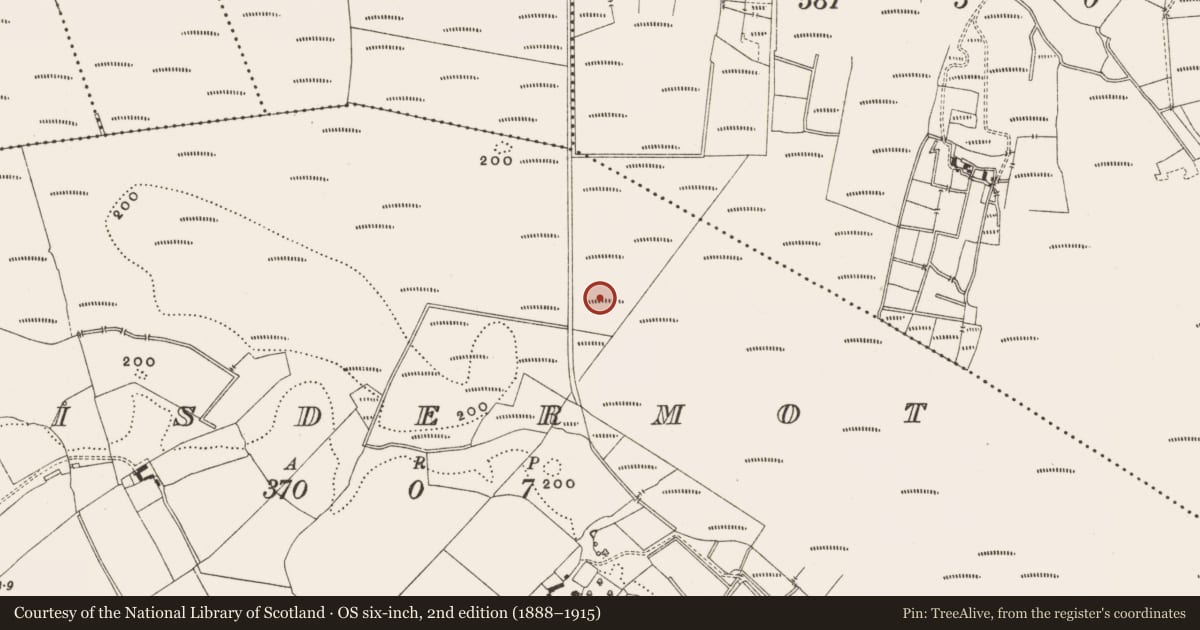 Ordnance Survey six-inch map, 2nd edition (1888–1915) covering the location of Structure - peatland, Lisdermot, County Offaly, with a pin at the register's coordinates