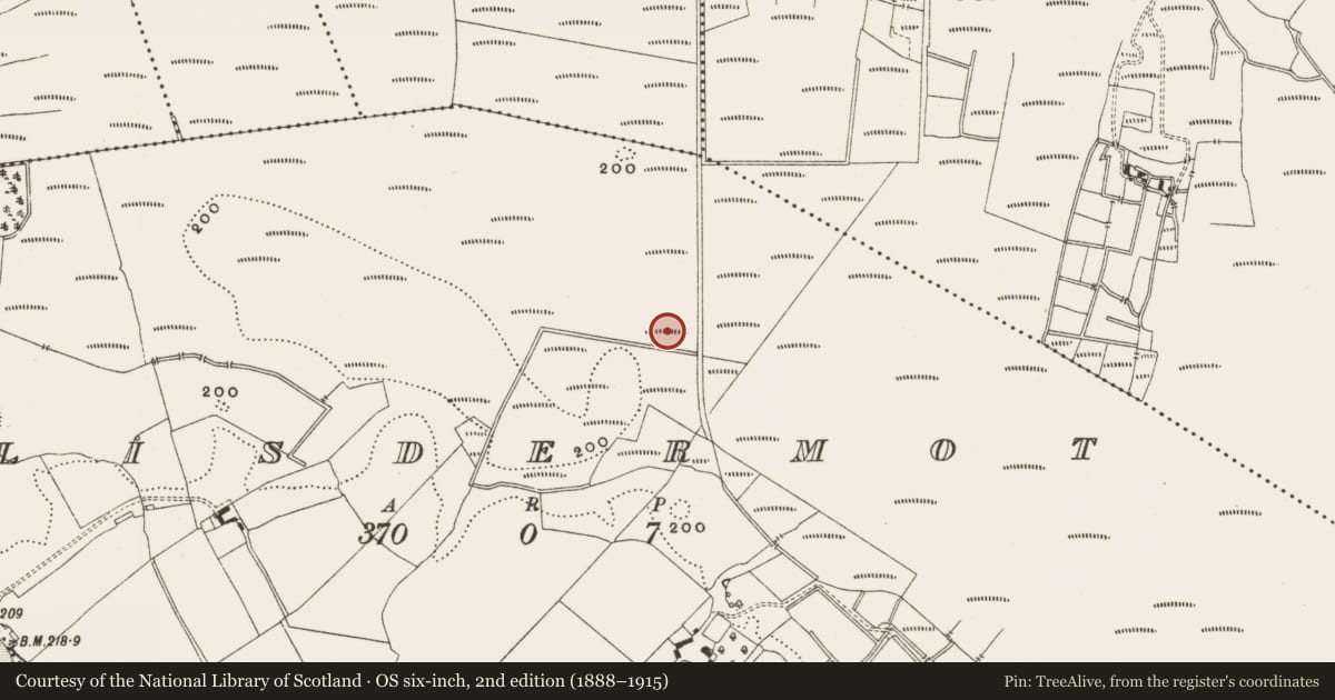Ordnance Survey six-inch map, 2nd edition (1888–1915) covering the location of Structure - peatland, Lisdermot, County Offaly, with a pin at the register's coordinates